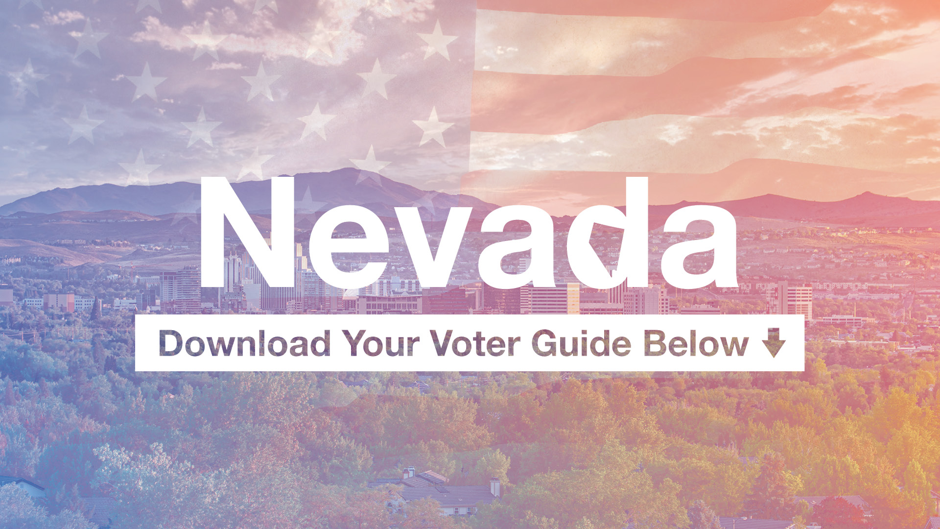 Voter Guide Nevada